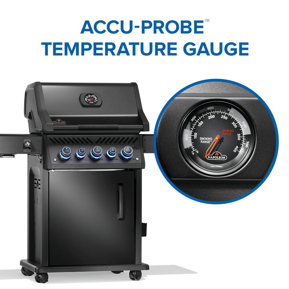 Phantom Rogue PRO-S 425 RSIB with Infrared Side and Rear Burner , Natural Gas, Matte/Matt Black