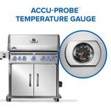 Rogue PRO-S 625 RSIB with Infrared Side and Rear Burner , Propane, Stainless Steel