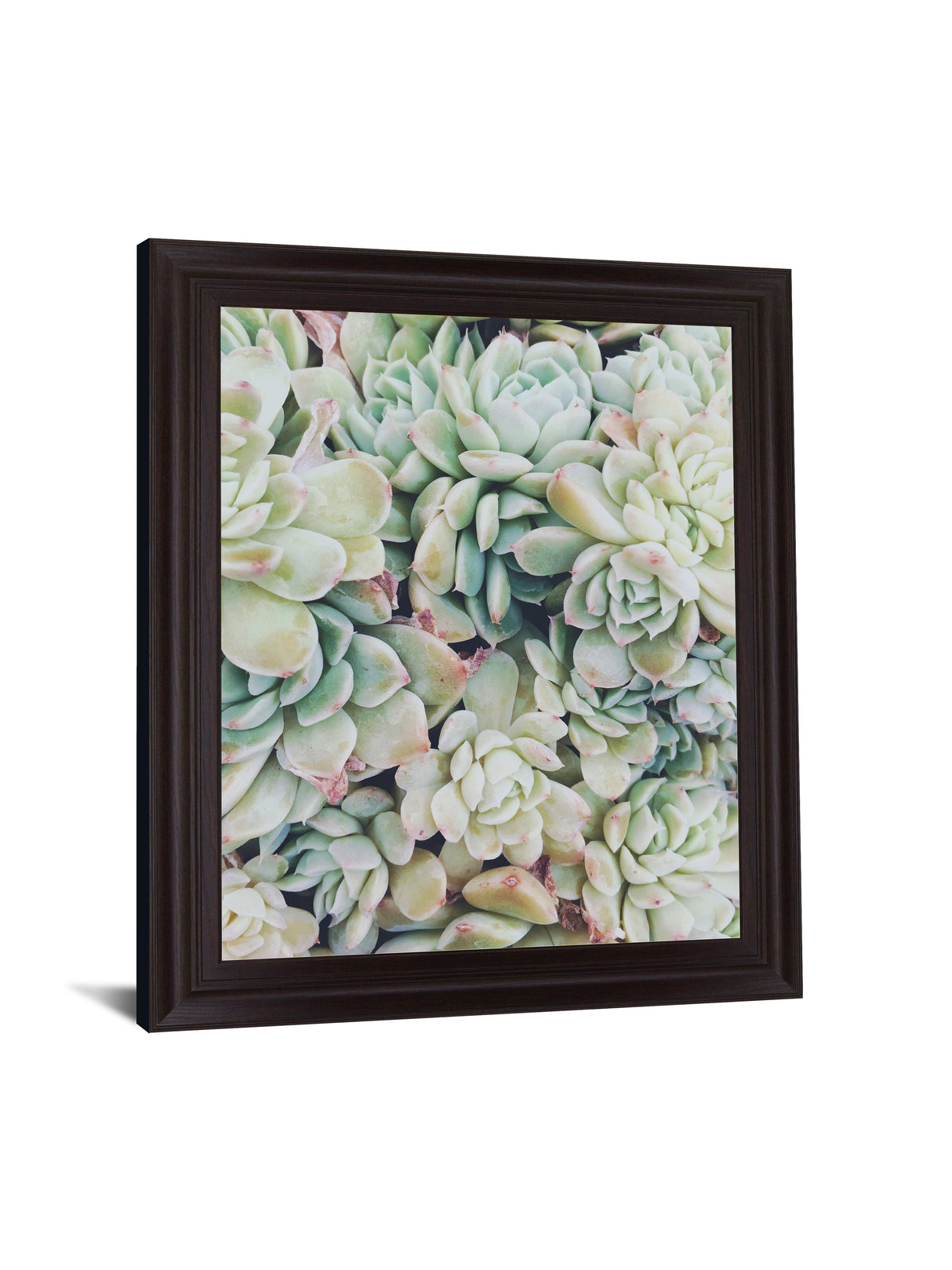 Verdant Rosette Cluster 28 in. x 34 in. Framed Wall Art