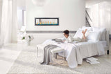 Vector? 50 See Through Direct Vent Gas Fireplace
