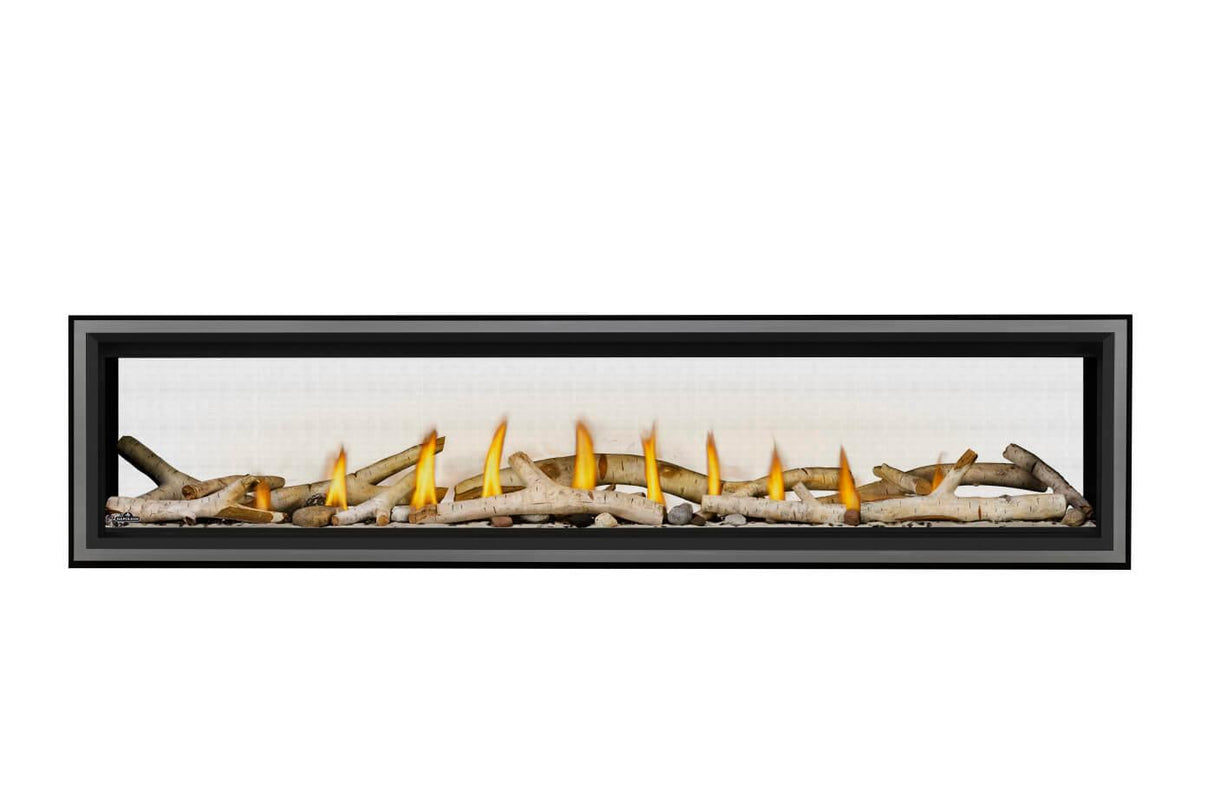 Vector? 74 See Through Direct Vent Gas Fireplace