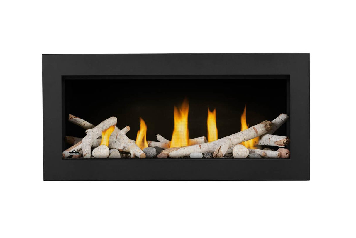 Vector? 38 Direct Vent Gas Fireplace