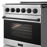 30 Inch Professional Gas With Precision Knob Control In Stainless Steel/black