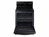 5.9 cu. ft. Electric Range with True Convection