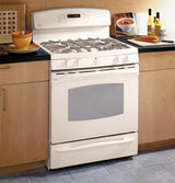 GE Profile 30" Free-Standing Dual Fuel Range
