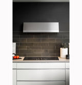 36" Commercial Style Hood