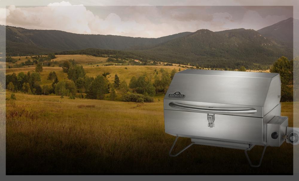 FreeStyle Portable Gas Grill