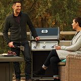 Rogue® 425