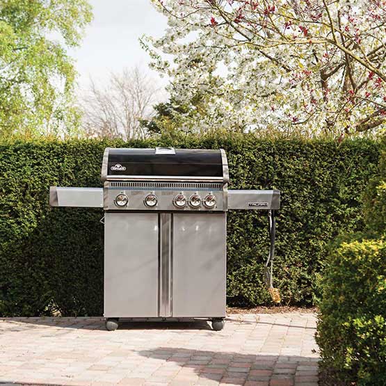 Triumph® 495 with Side Burner