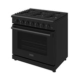 36 Inch Professional Gas Range In Black