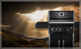 Rogue® 425 with Infrared Side Burner, Black Edition