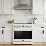 36 Inch Electric Range In White - Contemporary Professional