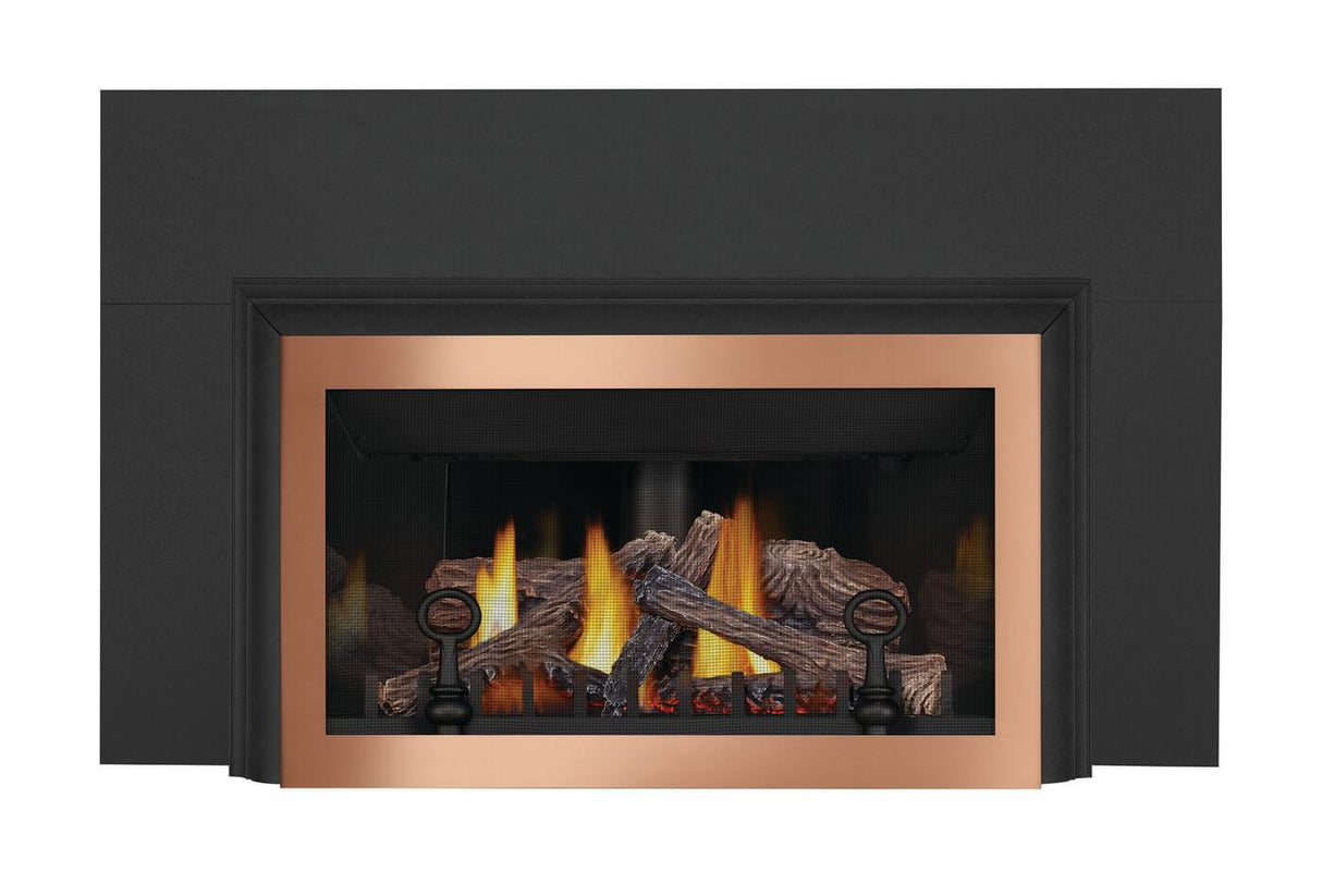 Inspiration ZC Direct Vent Gas Insert