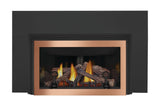 Inspiration ZC Direct Vent Gas Insert