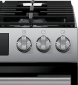 100 Series Freestanding Gas Range Stainless Steel
