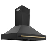 ZLINE 48 in. Autograph Edition Black Stainless Steel Range Hood with Handle (BS655Z-48) [Color: Gold]