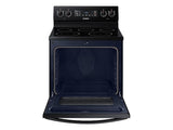 5.9 cu. ft. Freestanding Electric Range with Two Dual Power Elements in Black