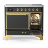 ILVE UMDIB40QNR3MGG Majestic III 40 inch Induction Range with 6 Elements, 3.82 cu. ft. Total Oven Capacity (Solid Door, Graphite Matte, Brass)