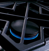 GE Monogram® 36" Dual-Fuel Professional Range with 6 Burners (Liquid Propane)