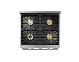 Gas Pro Range, Silver Stainless Steel, Natural Gas