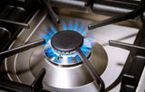 Nostalgie 48 Inch Dual Fuel Natural Gas Freestanding Range in Stainless Steel with Brass Trim