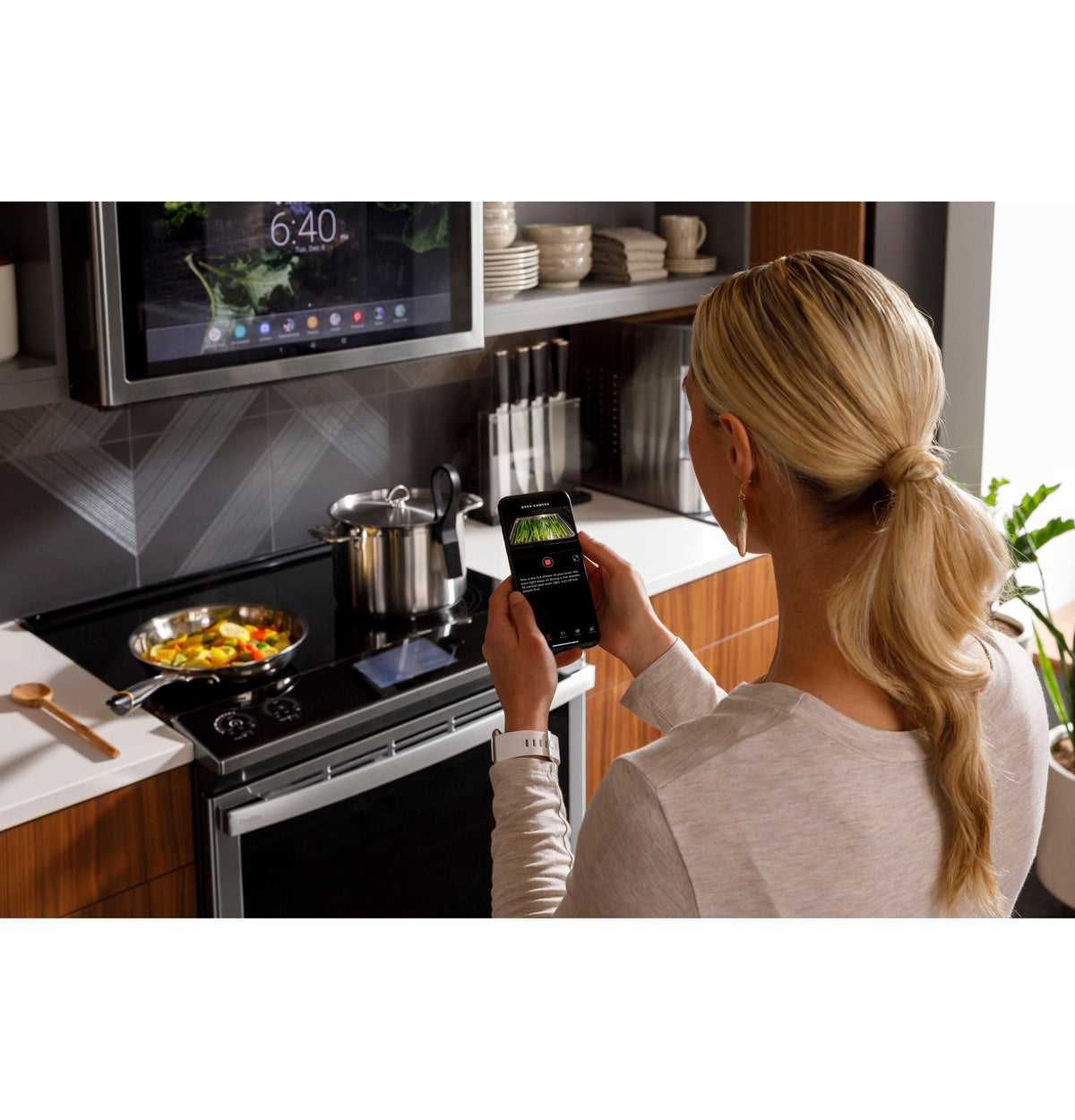 Precision Cooking Probe with Bluetooth Dongle and Instruction Manual