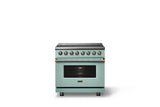 36"W. Induction Range (Finish: Splash, Trim: Brushed Brass)