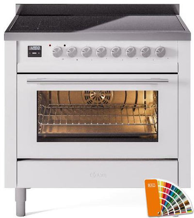 Professional Plus II 36 Inch Electric Freestanding Range in RAL Custom Color with Trim