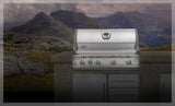 Built-In LEX 605 with Infrared Bottom and Rear Burners