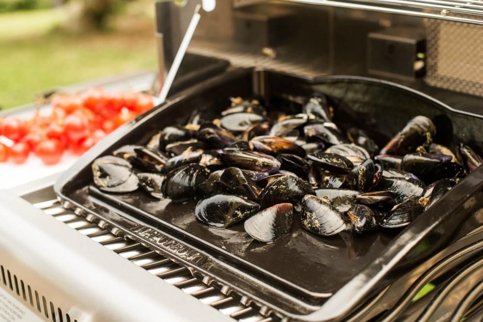 Cast Iron Plancha