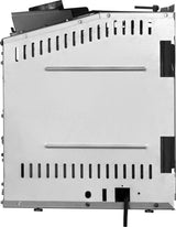 Rosedale 2 Direct Vent Gas Insert