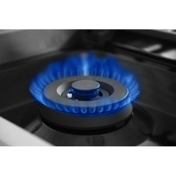 30 Inch Professional Gas Range In Stainless Steel