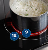 GE® ENERGY STAR® 30" Slide-In Electric Convection Range with No Preheat Air Fry and EasyWash™ Oven Tray