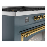 ILVE UN60FNMPBGG Nostalgie II Noblesse 60 inch Dual Fuel Range (9 Sealed Burners + Griddle, Natural Gas, Triple Glass Door, Blue Grey, Brass)
