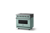36"W. Induction Range (Finish: Splash, Trim: Polished Chrome)