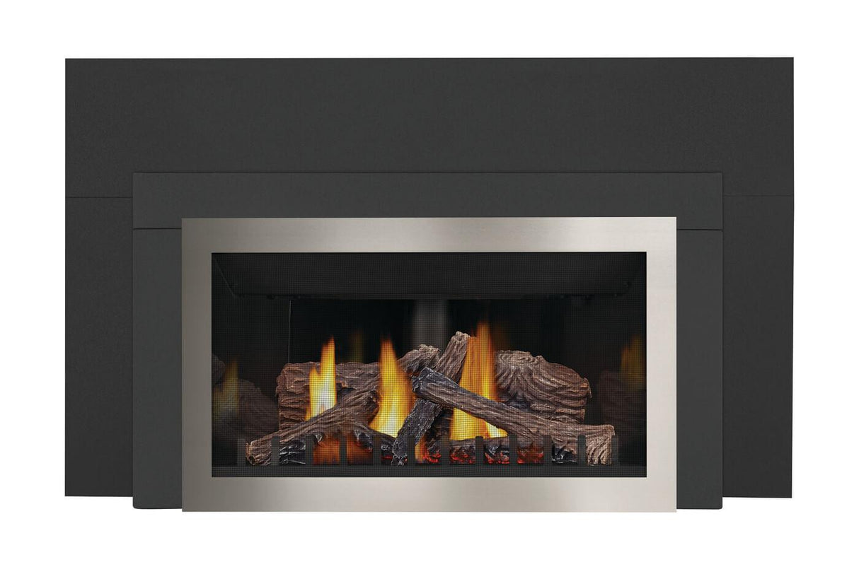 Inspiration ZC Direct Vent Gas Insert