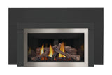 Inspiration ZC Direct Vent Gas Insert
