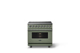 36"W. Induction Range (Finish: Eucalyptus, Trim: Polished Chrome)