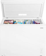 10 Cu. Ft. Garage Ready Chest Freezer