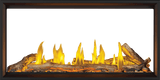 Tall Linear Vector? 50 See Through Direct Vent Gas Fireplace