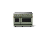 48"W. Induction Range (Finish: Eucalyptus, Trim: Brushed Brass)