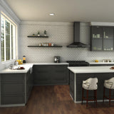 ZLINE Apollo Kitchen Faucet in Brushed Nickel (APL-KF-BN)
