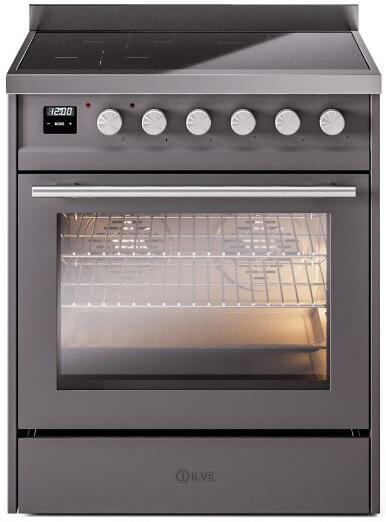 Professional Plus II 30 Inch Electric Freestanding Range in Matte Graphite with Trim