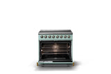 36"W. Induction Range (Finish: Splash, Trim: Brushed Brass)