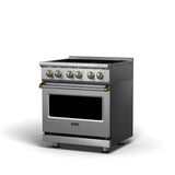 30" 5 Series Electric Range - VER5301 Viking 5 Series