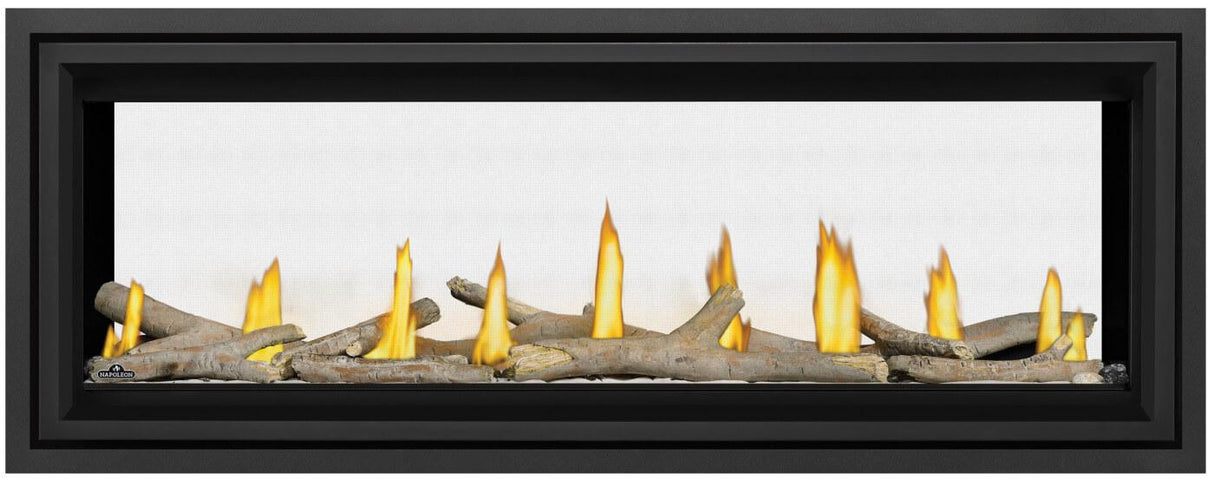 Vector? 50 See Through Direct Vent Gas Fireplace
