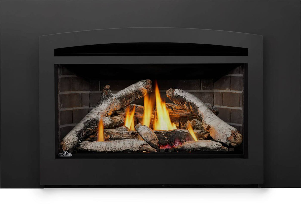 Rosedale? 3 Gas Insert