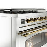 Nostalgie II 48 Inch Dual Fuel Natural Gas Freestanding Range in Stainless Steel with Brass Trim