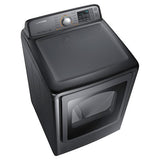 DV7400 7.4 cu. ft. Electric Dryer (Platinum)