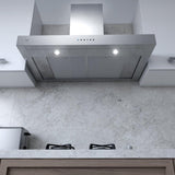600 CFM 30" Sleek Contemporary Italian Made Wall Mount Hood Stainless